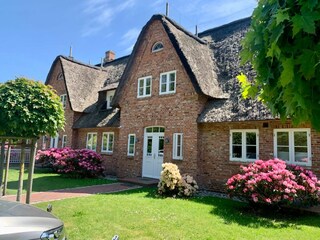 Vakantieappartement St. Peter-Ording Buitenaudio-opname 6