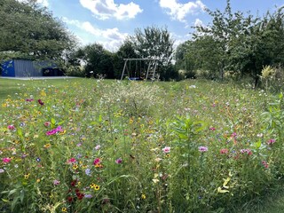 Casa per le vacanze Neugarmssiel Registrazione all'aperto 9