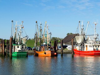 Vakantieappartement Fedderwardersiel Omgeving 18