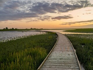 Naturerlebnisweg Langwarder Groden