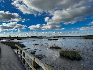 Appartamento per vacanze Fedderwardersiel Ambiente 24