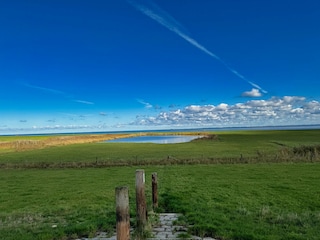 Appartamento per vacanze Fedderwardersiel Ambiente 27