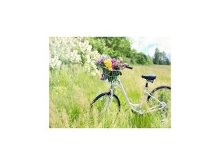 Appartamento Ustronie Morskie Ambiente 24