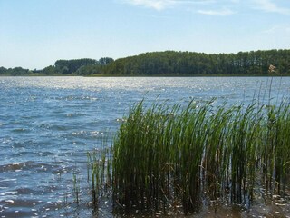 Vakantiehuis Sommersdorf Omgeving 16