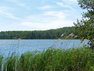 Casa per le vacanze Sommersdorf  21