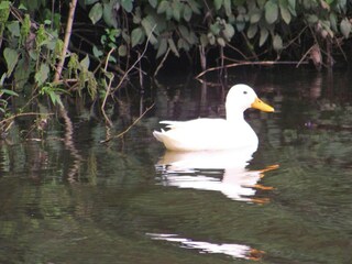 Apartamento Sommersdorf  16