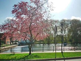 Casa de vacaciones Neukalen Entorno 16