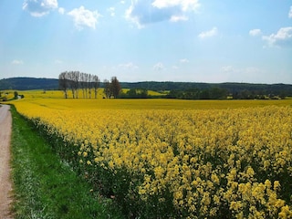 Vakantiehuis Neukalen Omgeving 9