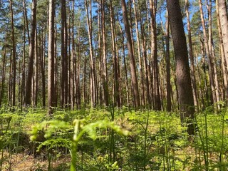 Casa per le vacanze Fuhlendorf Ambiente 37