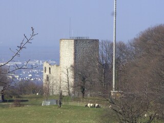 Burg Neu Windeck in Lauf