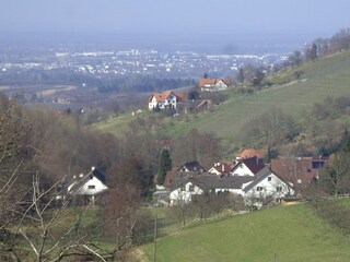 Bllick in die Rheinebend