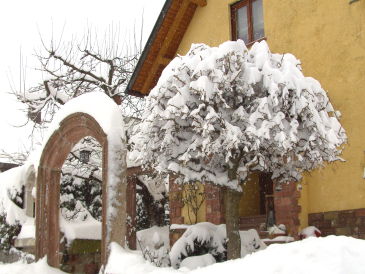 Holiday apartment Holiday home Burgblick