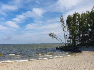 Maison de vacances Fuhlendorf Environnement 38