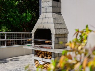 Villa Koromacno Registrazione all'aperto 13