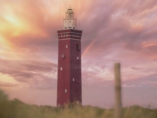 Casa per le vacanze Ouddorp Ambiente 28