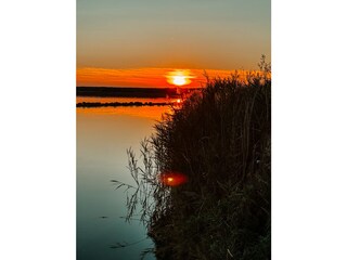 Casa per le vacanze Ouddorp Ambiente 36