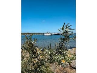 Casa per le vacanze Ouddorp Ambiente 36