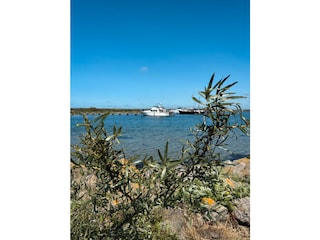 Holiday house Ouddorp Environment 38