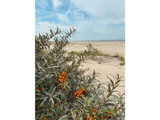 Holiday house Ouddorp Environment 37