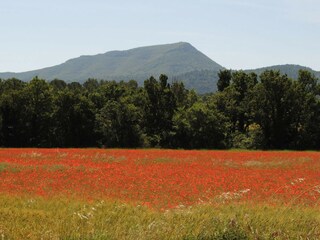 Casa per le vacanze Cotignac Ambiente 35