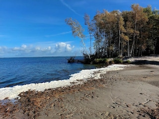 Ferienhaus Fuhlendorf Umgebung 40