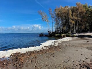 Casa per le vacanze Fuhlendorf Ambiente 28