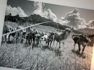 Appartamento per vacanze Oberstdorf Caratteristiche 14