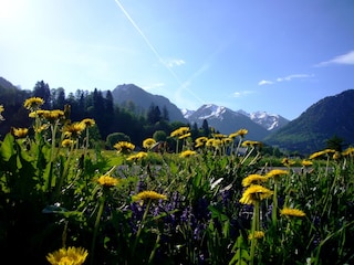 Appartamento per vacanze Oberstdorf Ambiente 22