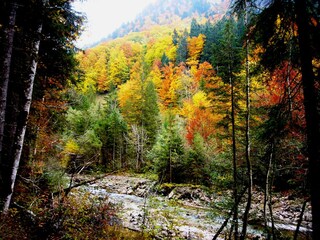 Appartamento per vacanze Oberstdorf Ambiente 23