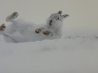 Appartamento per vacanze Oberstdorf Caratteristiche 14