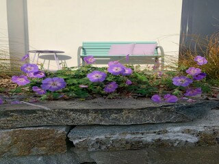 Villa Biddinghuizen Buitenaudio-opname 2