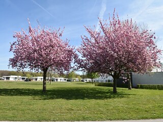 Villa Biddinghuizen Omgeving 28