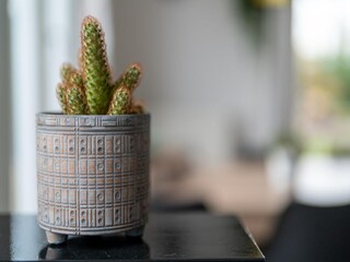 Vakantiehuis Baarland  40