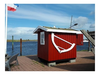 Holiday house Wendtorf Outdoor Recording 18