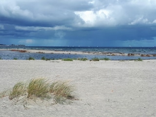 Holiday house Wendtorf Outdoor Recording 19