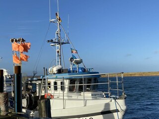 Ferienhaus Wendtorf Außenaufnahme 6