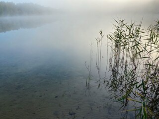 Morgenstimmung am Kronsee
