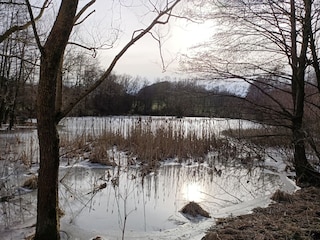 Frickenhäuser Weiher