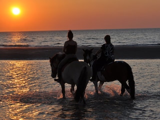 Casa per le vacanze Nieuwvliet Ambiente 23