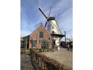 Casa per le vacanze Brouwershaven Ambiente 36