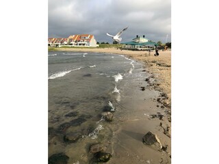 Casa per le vacanze Brouwershaven Ambiente 40