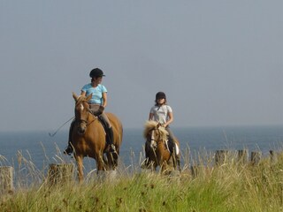 Apartment Domburg Environment 25