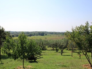 Appartamento per vacanze Porec Registrazione all'aperto 4