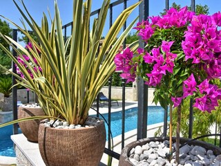 Villa Zita Exclusive mit Pool & Sauna