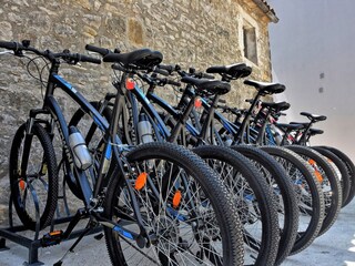 Villa Pićan Ambiente 38