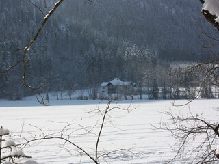 Vakantieappartement Ebensee Omgeving 27