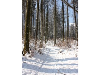 Vakantieappartement Ebensee Omgeving 28