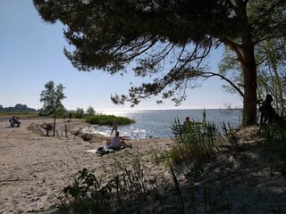 Casa per le vacanze Fuhlendorf Ambiente 29