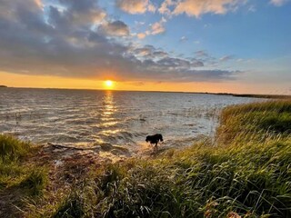 Ferienhaus Fuhlendorf Umgebung 39