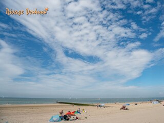 Casa per le vacanze Nieuwvliet Ambiente 39